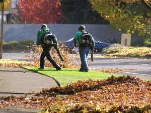 south-jersey-landscapers