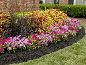 south-jersey-landscape-contractor