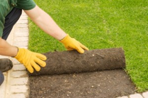 south-jersey-landscape-contractor
