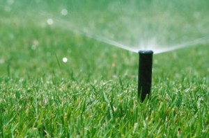 south-jersey-landscaping 