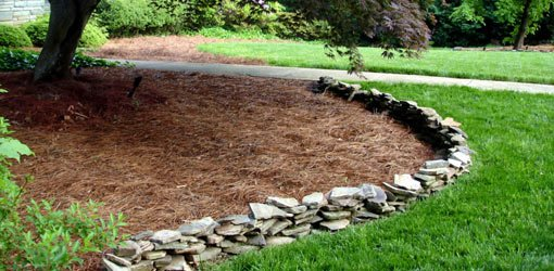 Mulch your garden