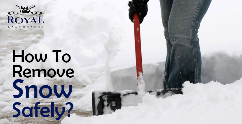 Snow Removal